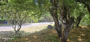 Prime 2.5-Acre Land for Sale – Kilifi Bofa Road