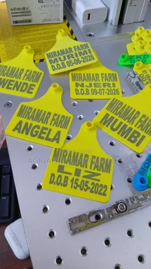 Large Eartags
