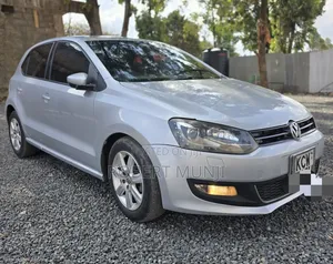 Volkswagen Polo 2012 Silver