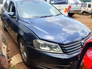 Volkswagen Passat 2013 Blue