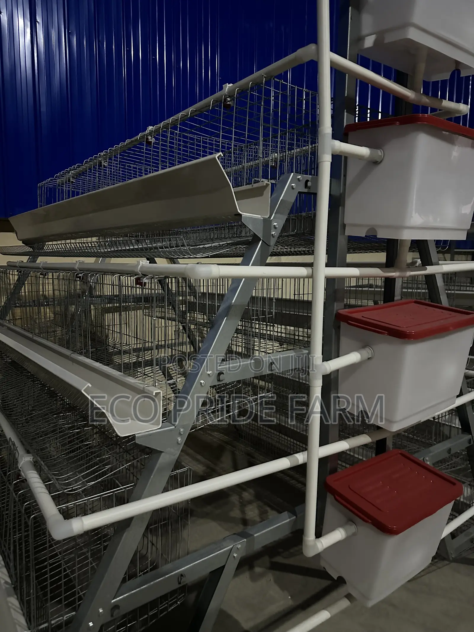Chicken Cage (Galvanized)