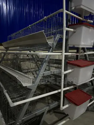 Chicken Cage (Galvanized)