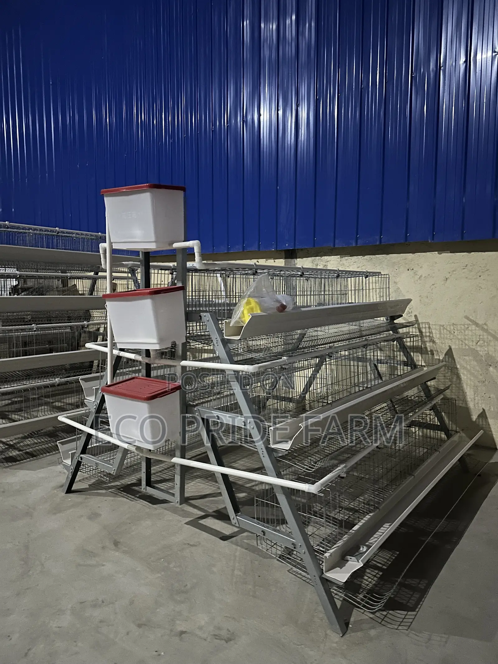 Chicken Cage (Galvanized)
