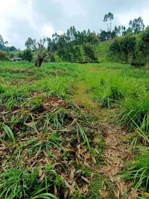 5 Acres Mathioya Murang'A