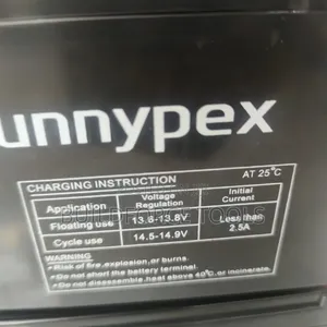 Sunnypex 12v 12ah Gel Battery