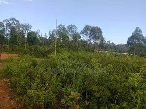 One Acre Plot for Sale in Nyahera Kisumu