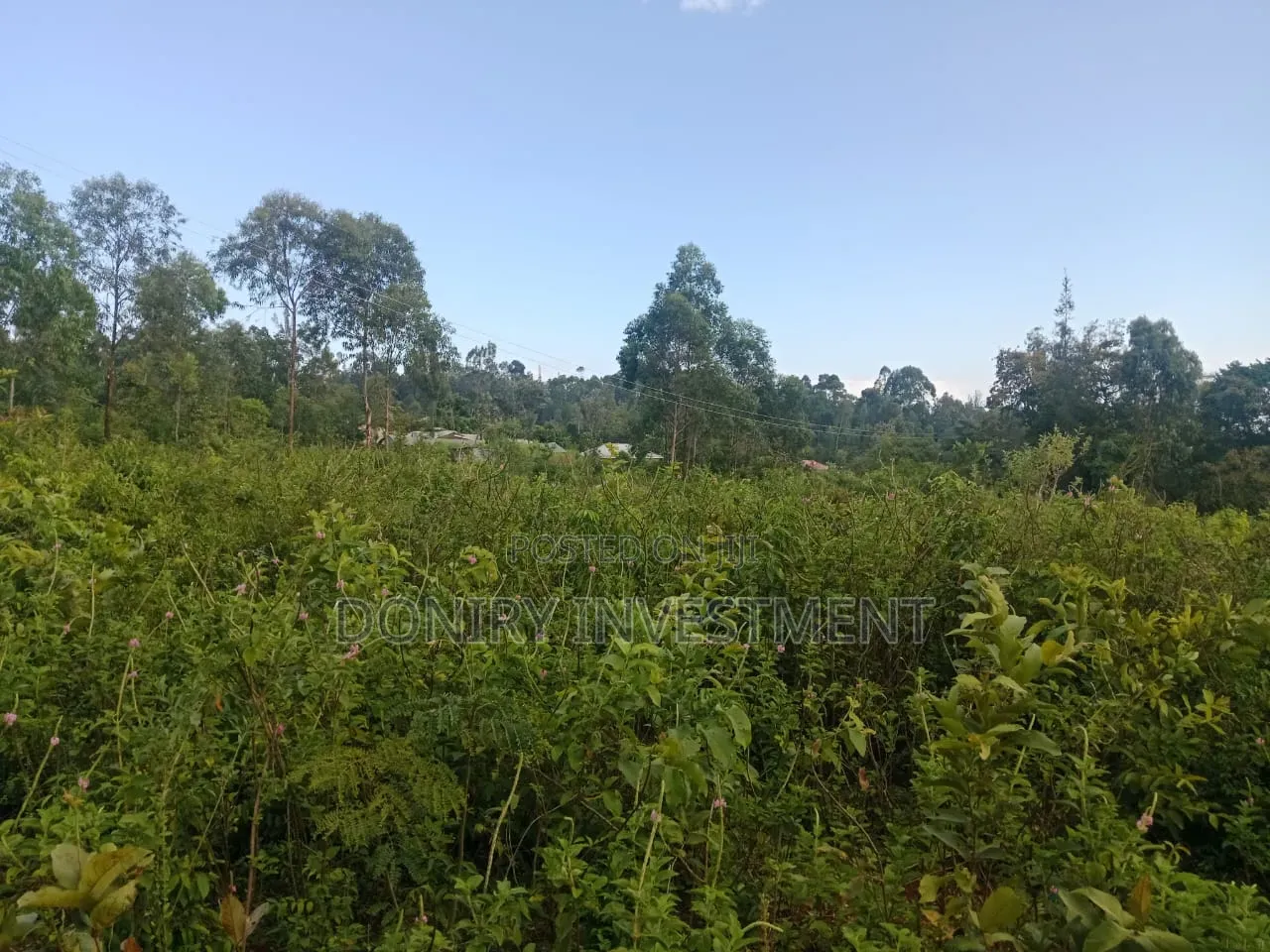 One Acre Plot for Sale in Nyahera Kisumu