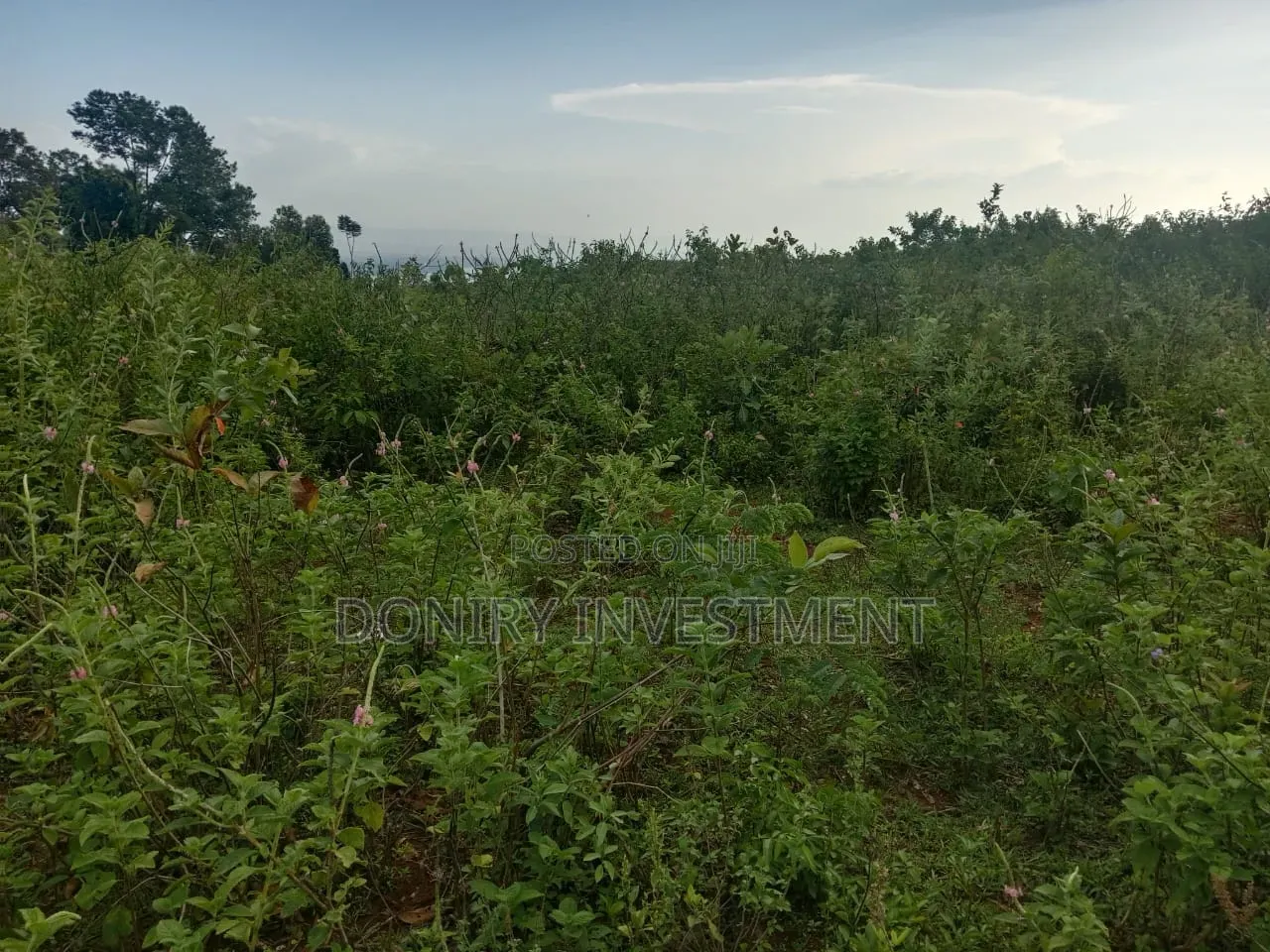 One Acre Plot for Sale in Nyahera Kisumu