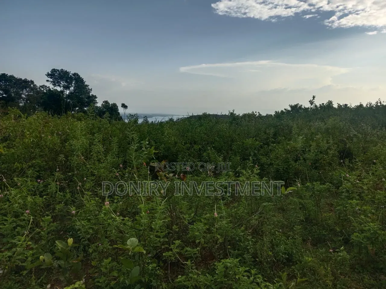 One Acre Plot for Sale in Nyahera Kisumu