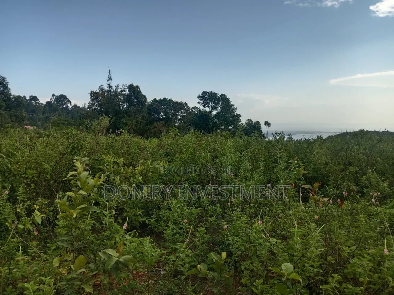 One Acre Plot for Sale in Nyahera Kisumu
