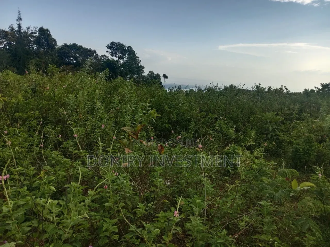 One Acre Plot for Sale in Nyahera Kisumu