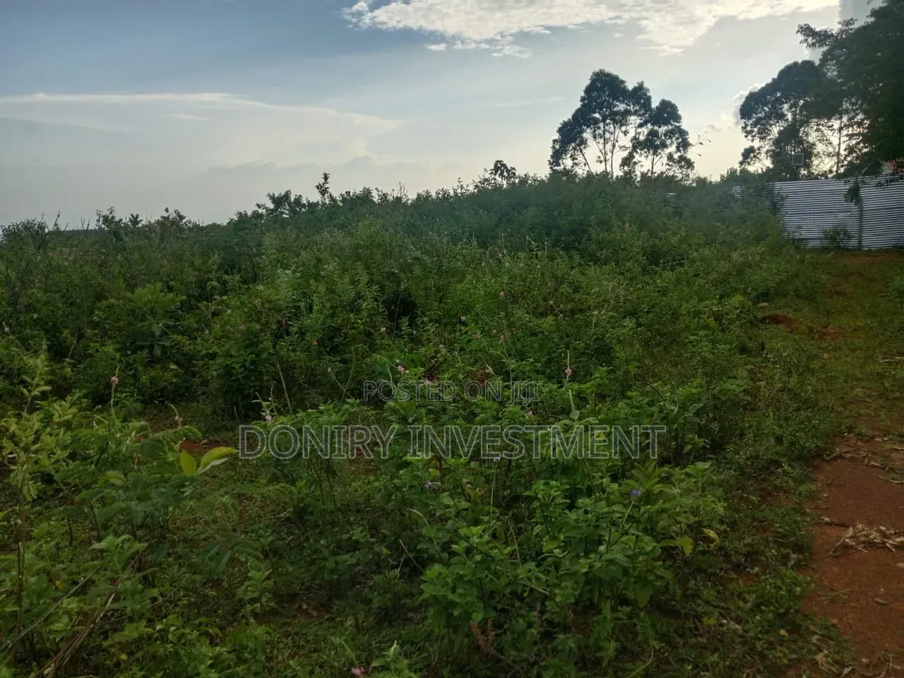 One Acre Plot for Sale in Nyahera Kisumu