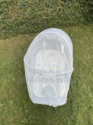 Baby Electric Swing and a Mosquito Net