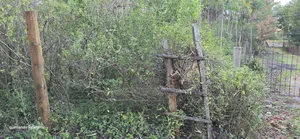 Prime 1⁄2 Acre for Sale in Kiplombe Eldoret Near Kiplombe Centre