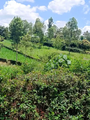 1/2 Acre Gitero Nyeri Municipality