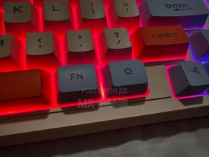Mechanical Gaming Keyboard