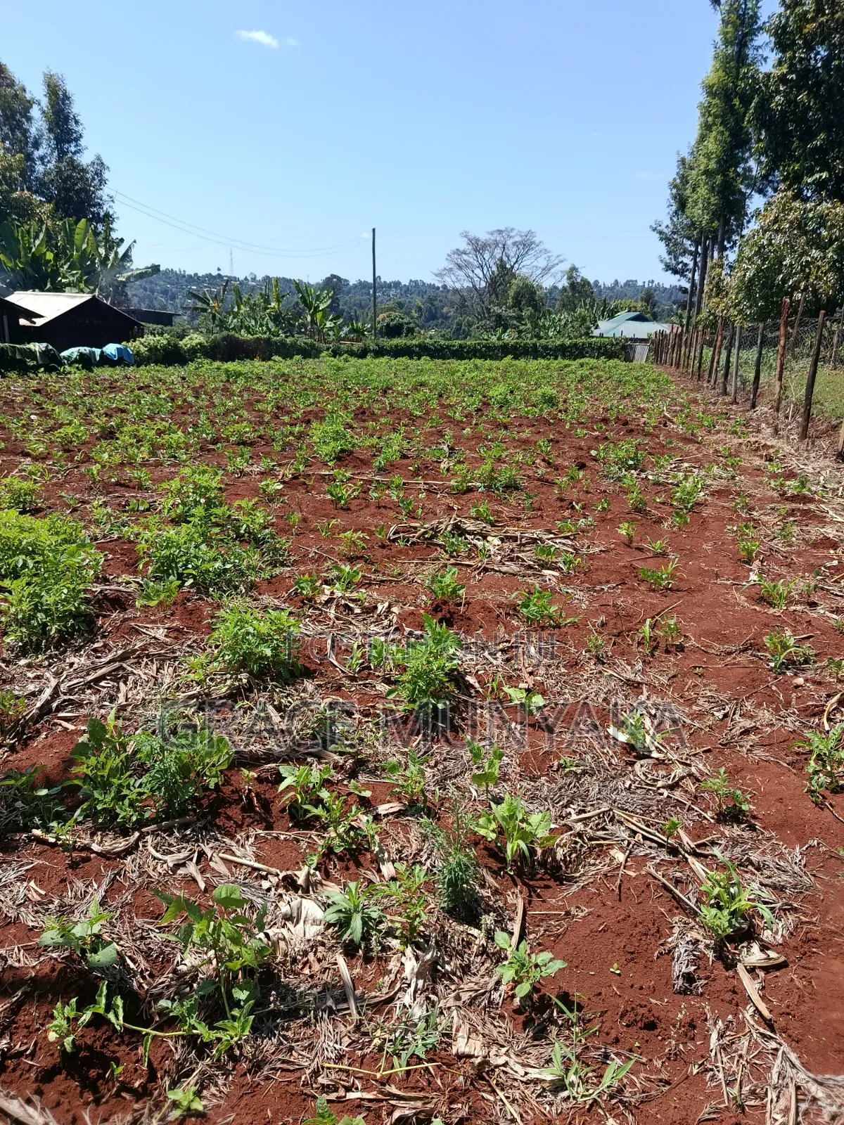 1 Acre Upper Tetu