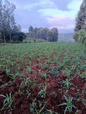 2.5 Acres Muturi Nyeri