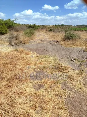 3 Acres Jujafarm