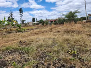 1/8 Plots in Thika Salama Estate