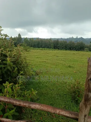 9 Acres Mathioya Murang'A