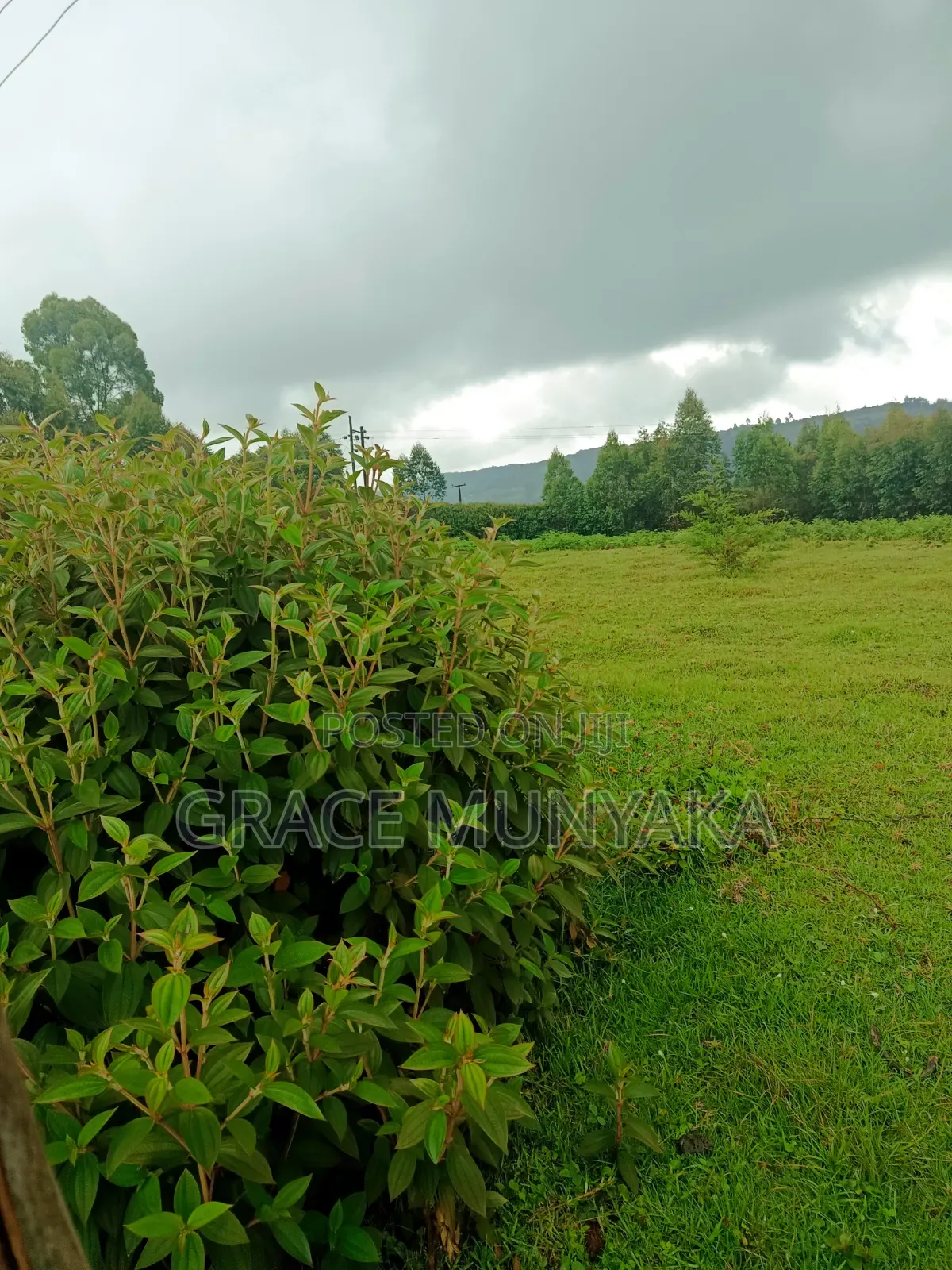 9 Acres Mathioya Murang'A