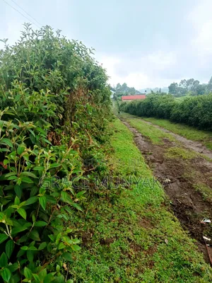 9 Acres Mathioya Murang'A