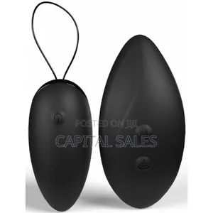 Dual Egg Vibrator