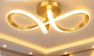Modern Infinity Wave LED Ceiling Light Luxury Gold Flush Mount Lamp
