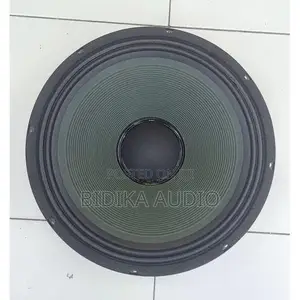 15" Naked Speaker