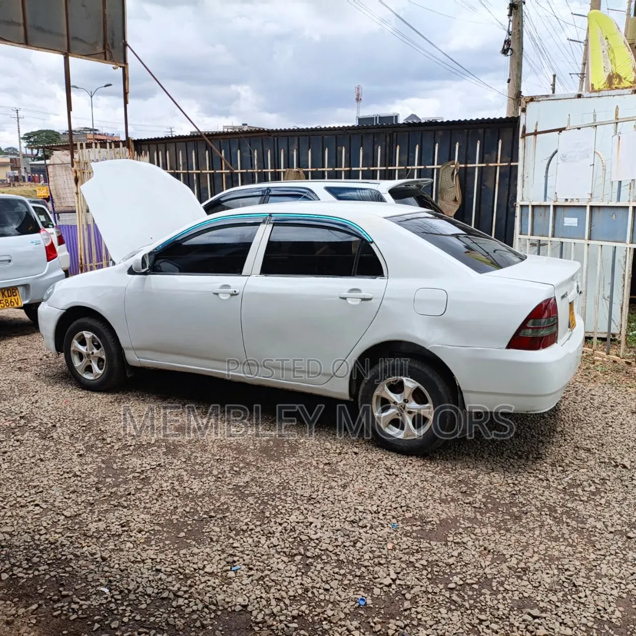 Toyota Corolla 2003 White
