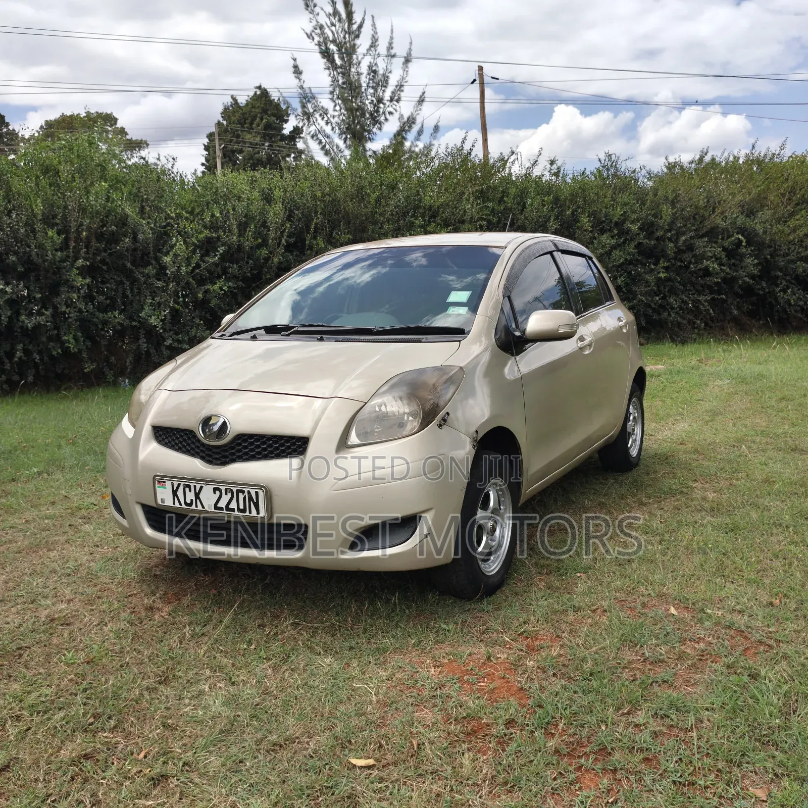 Toyota Vitz 2010 Gold