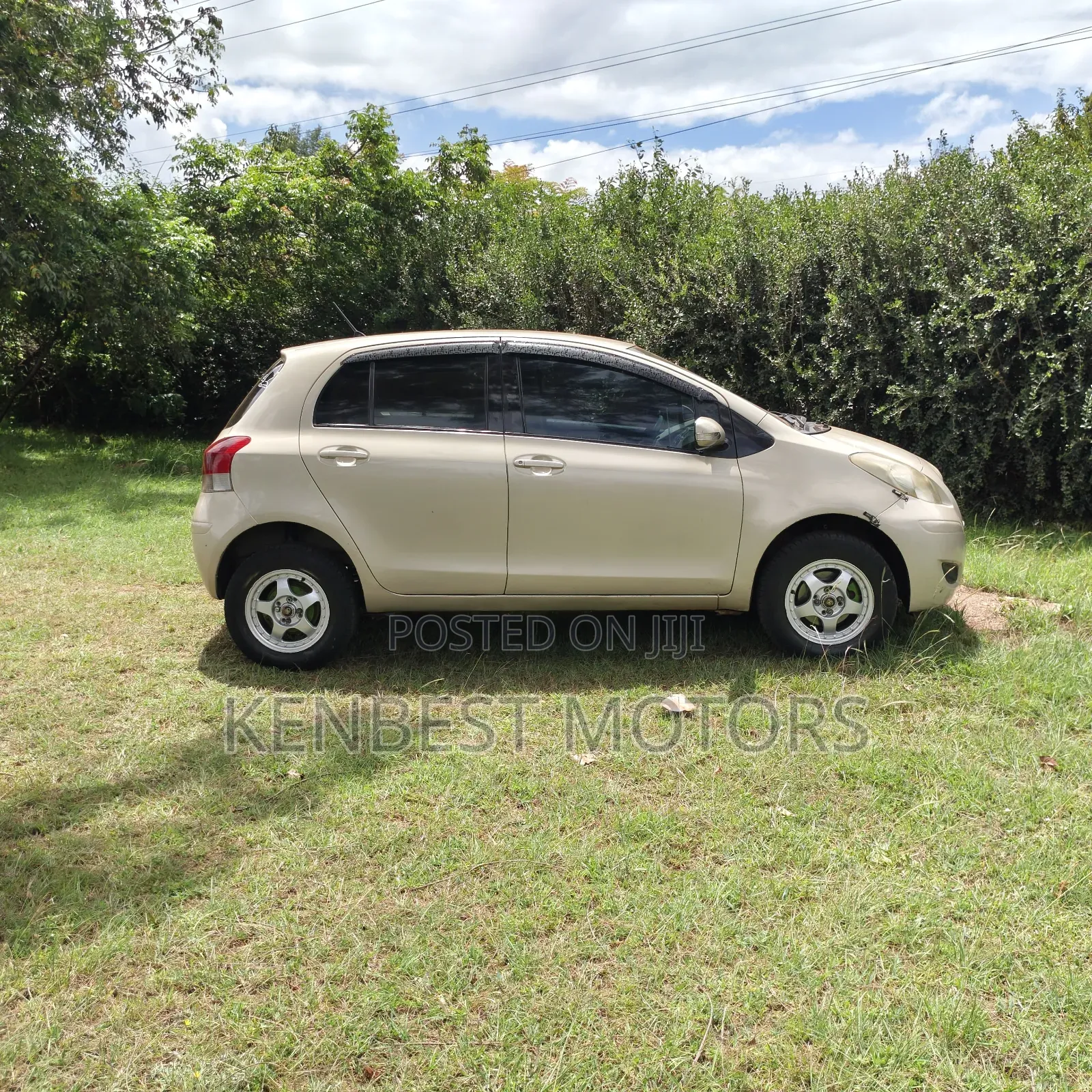Toyota Vitz 2010 Gold