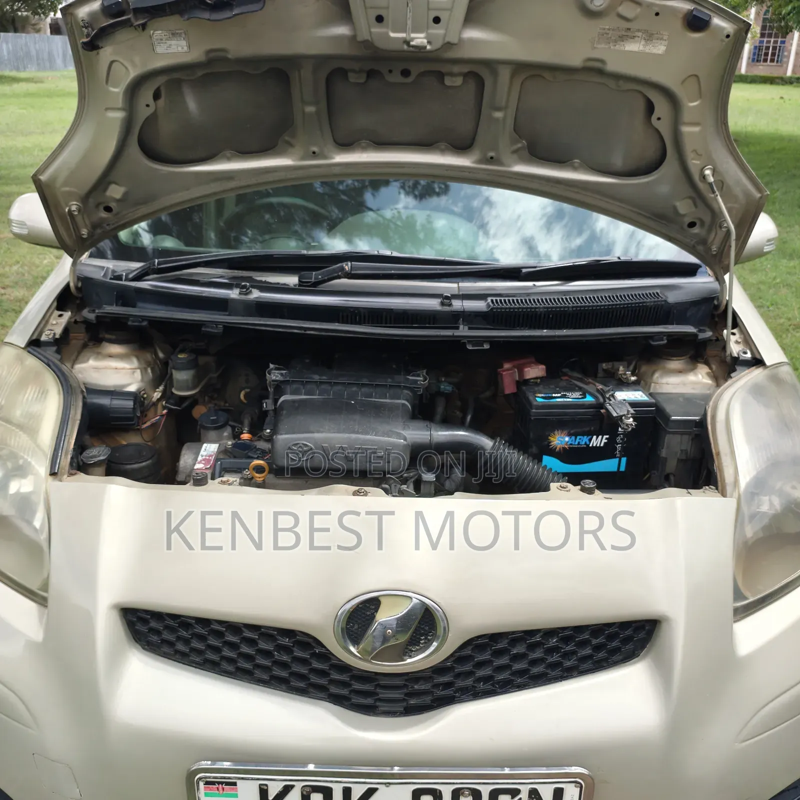 Toyota Vitz 2010 Gold