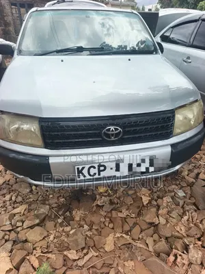 Toyota Probox 2010 Silver