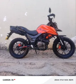 Regal Raptor DY250 2026 Orange