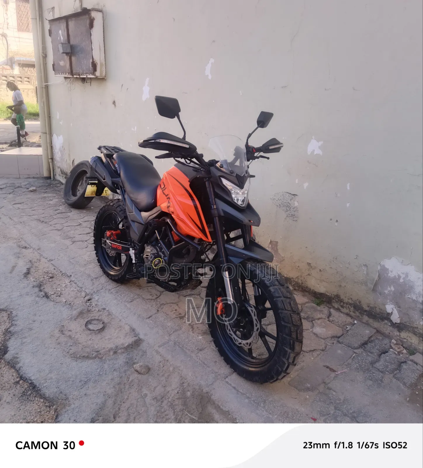 Regal Raptor DY250 2026 Orange