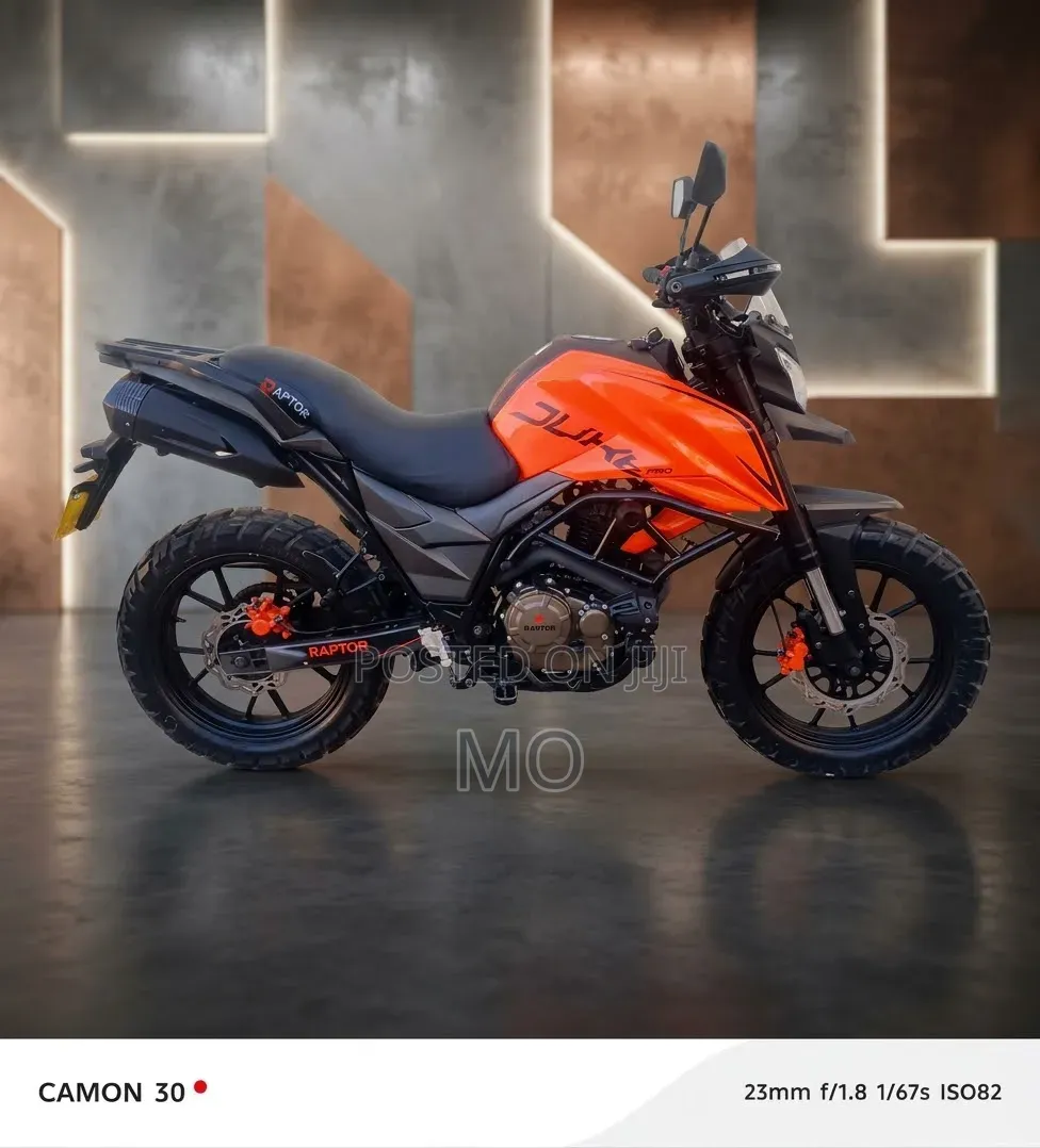 Regal Raptor DY250 2026 Orange