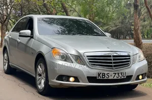 Mercedes-Benz E220 2010 Silver
