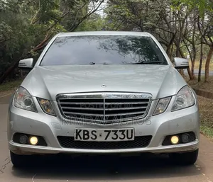 Mercedes-Benz E220 2010 Silver