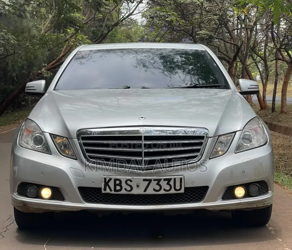 Mercedes-Benz E220 2010 Silver
