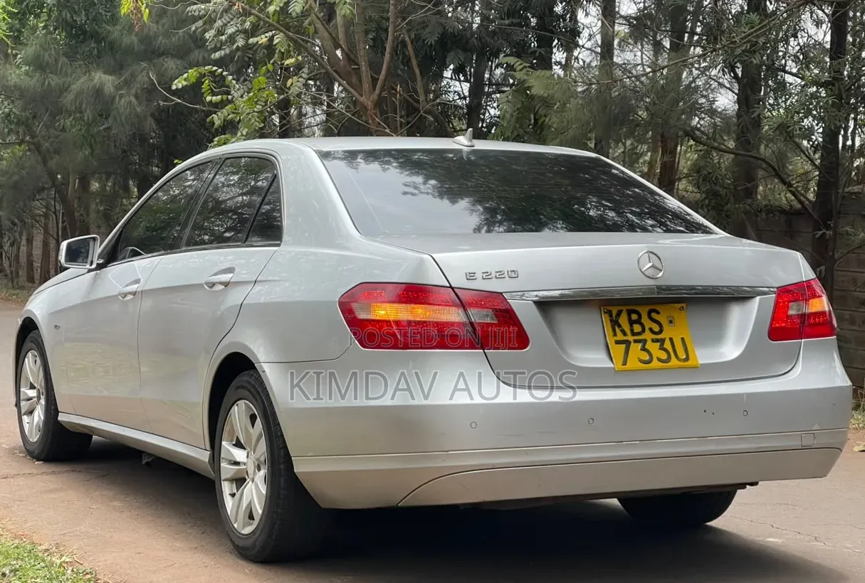 Mercedes-Benz E220 2010 Silver