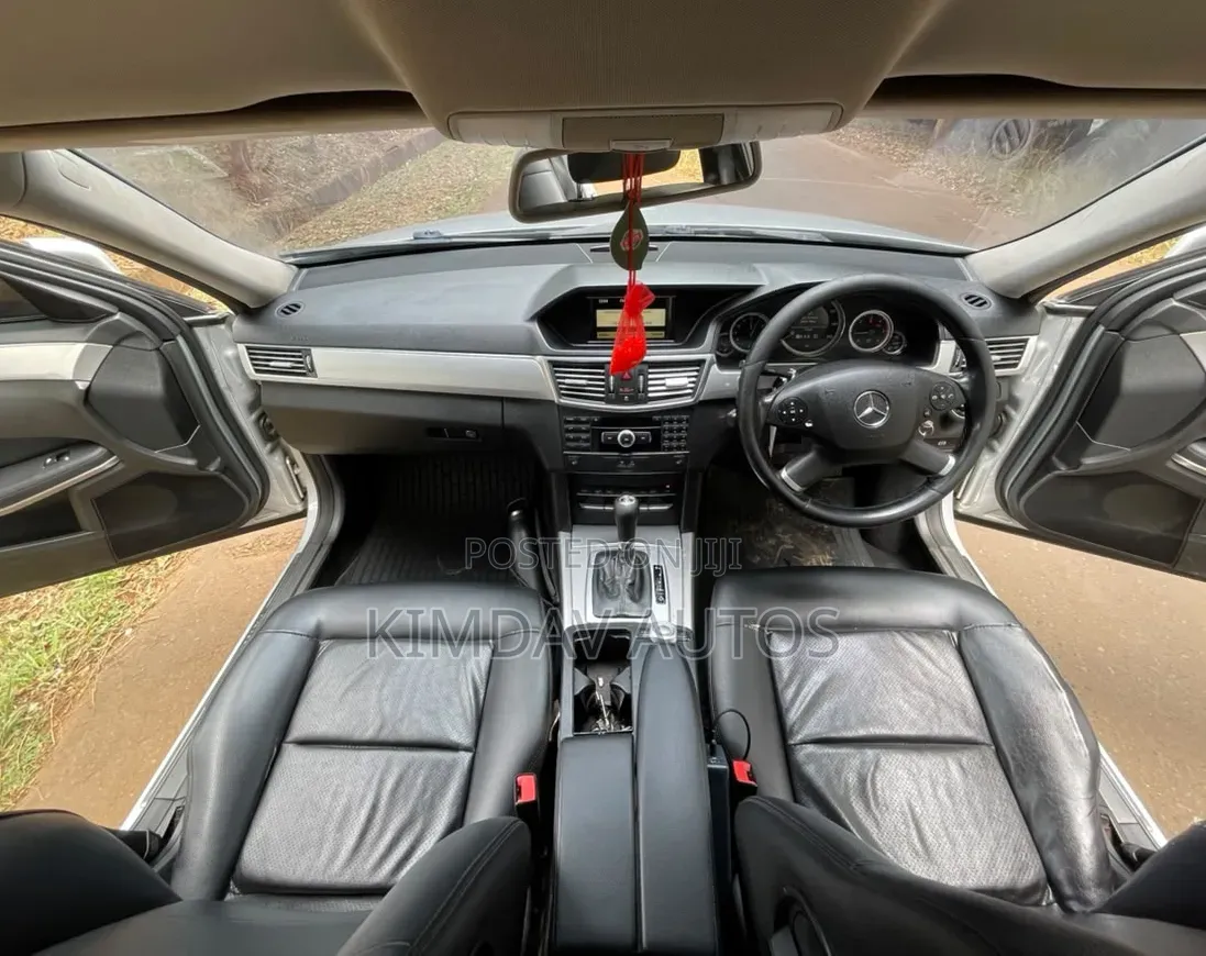 Mercedes-Benz E220 2010 Silver