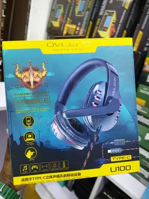 USB Type-C Wired Gaming Headphones With Built-in Mic