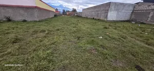 Prime 1⁄2 Acre Land for Sale in Kimumu Betafarm Eldoret