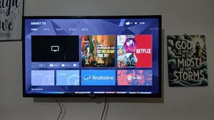 Television