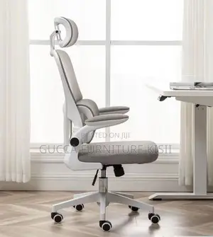 Special Ergonomic Mesh Desk Chair