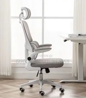 Special Ergonomic Mesh Desk Chair