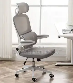 Special Ergonomic Mesh Desk Chair