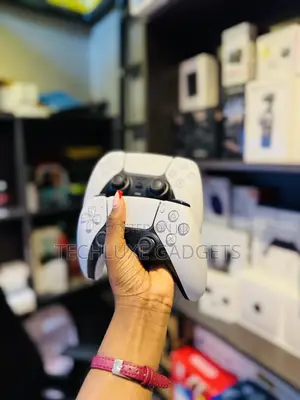 PS5 Controllers